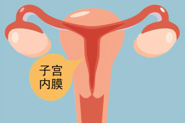 云南大学云南医院做试管婴儿胚胎移植费用大概是多少？