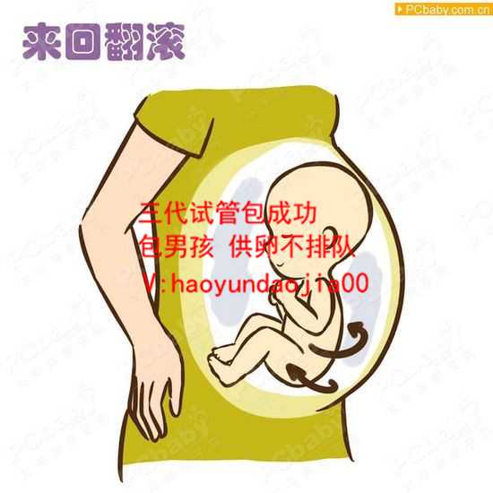 试管婴儿有供卵的吗_上海代生孩公司酷宝贝_输卵管积水可以并发哪些疾病？